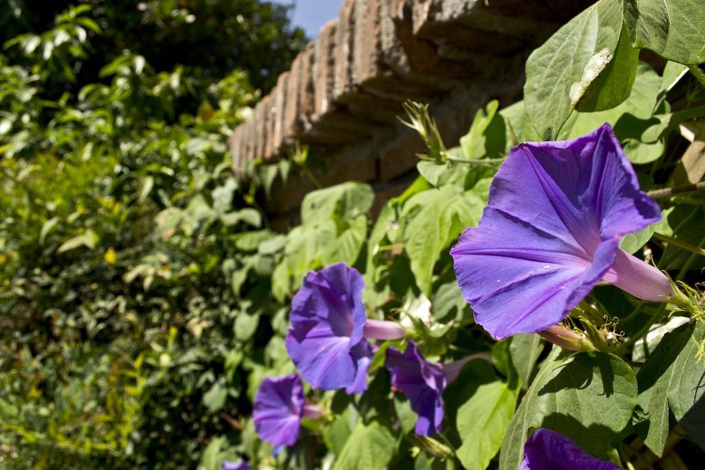 Catorceonce Bed & Breakfast Talca  Exterior photo